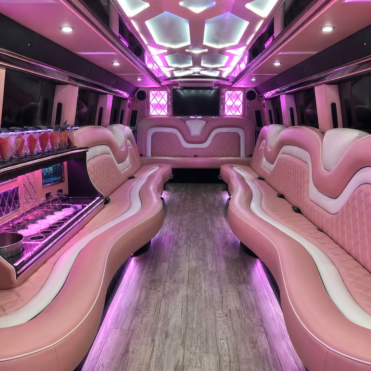 detroit limo interior