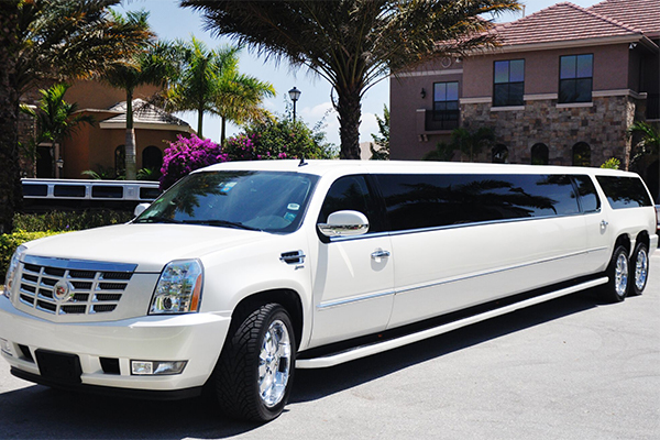 Detroit 20 Passenger Limo